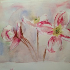 watercolor flower study