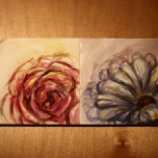 watercolor rose and daisy